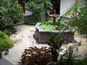 Patio, Casa Amma Cerro Alto