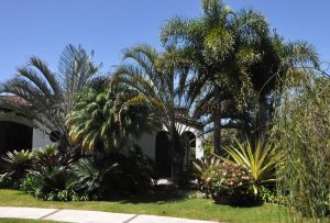 Casa Amma Cerro Alto