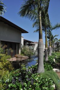 Casa CF La  Hacienda, Santa Ana