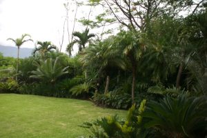 Casa Magenta, Villa Real