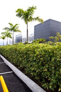 Ciudad Toyota CR