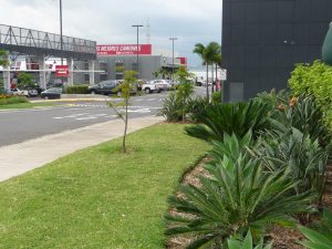 Ciudad Toyota CR