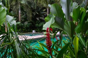 Hotel Camaleón,  Puerto Viejo