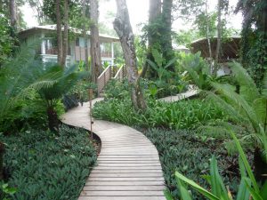 Hotel Camaleón,  Puerto Viejo