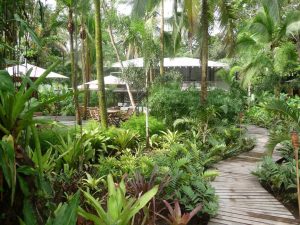 Hotel Camaleón,  Puerto Viejo