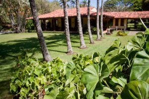 LaFinca11