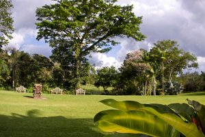 LaFinca6